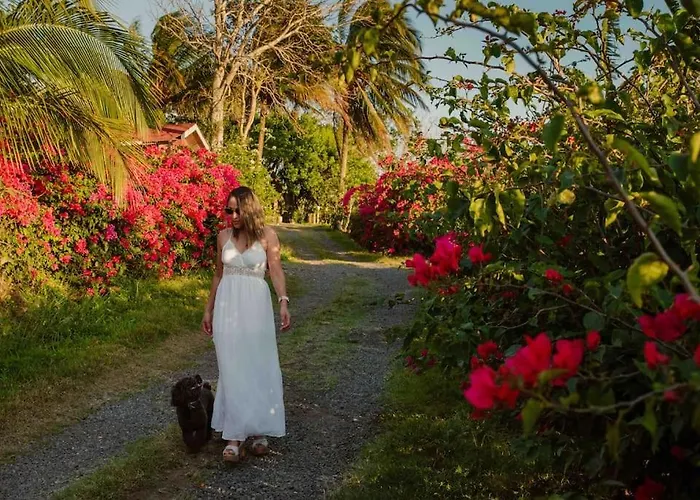 Gateway To Paradise Holiday home *